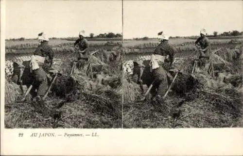 Stereo Ak Japan, Paysannes, Japaner auf dem Feld, Landwirtschaft