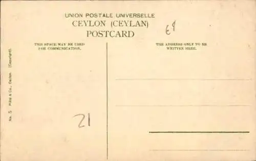 Ak Colombo Ceylon Sri Lanka, York Straße