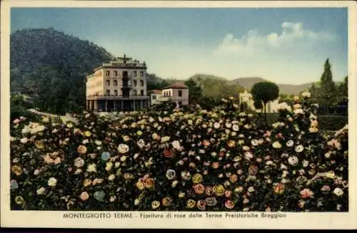 Ak Montegrotto Terme Veneto, Fioritura di rose delle Terme Preistoriche Braggion