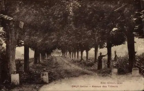 Ak Orly sur Morin Seine et Marne, Avenue des Tilleuls