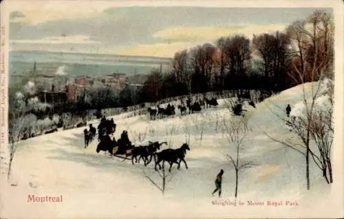 Ak Montreal Québec Kanada, Sleighing in Mount Royal Parc