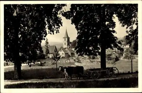 Ak Reichelsheim im Odenwald, Durchblick zum Ort, Kuh Gespann