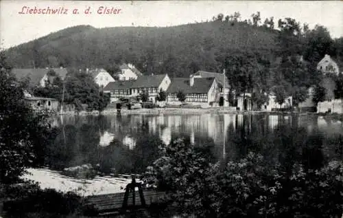 Ak Liebschwitz Gera in Thüringen, Teilansicht, Teich