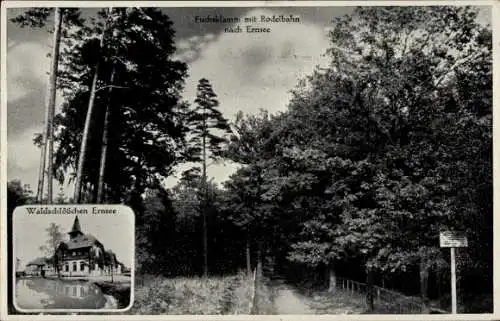 Ak Ernsee Gera in Thüringen, Waldschlösschen Ernsee, Fuchsklamm, Rodelbahn