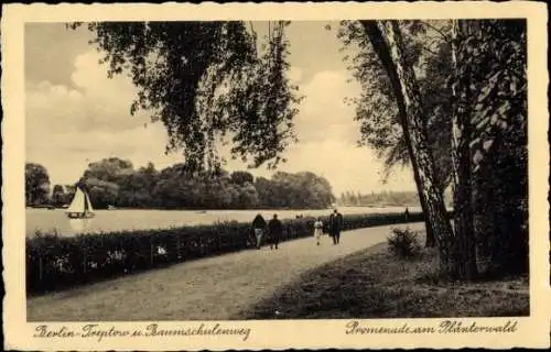 Ak Berlin Treptow, Baumschulenweg, Promenade, Plänterwald