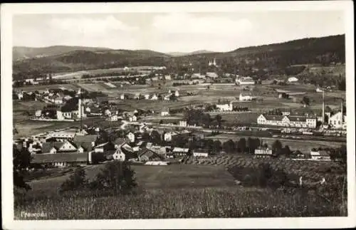 Ak Frauenau in Niederbayern, Panorama