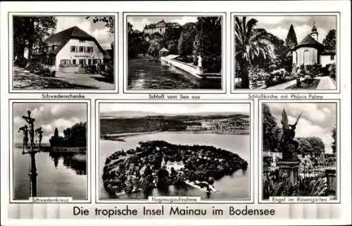 Ak Insel Mainau im Bodensee, Rosengarten mit Schlosskirche, Schwedenkreuz, Schwedenschänke