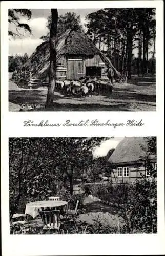 Ak Borstel Bispingen Lüneburger Heide, Lönsklause, Schafstall, Garten