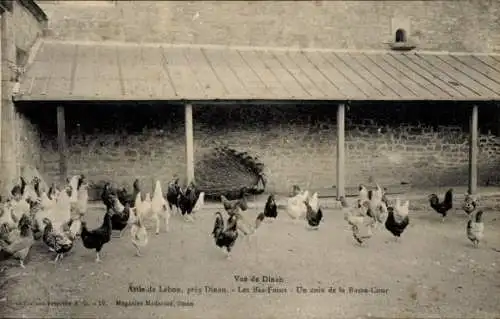 Ak Lehon Côtes-d'Armor, Les Bas-Foins, eine Ecke des Basse Cour