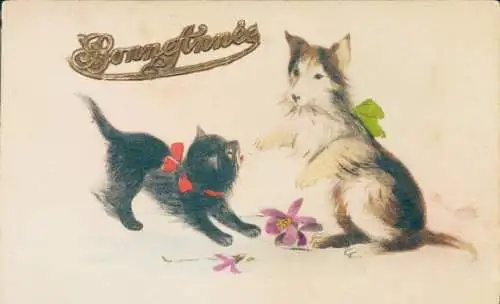 Ak Glückwunsch Neujahr, Schwarze Katze, Brauner Hund