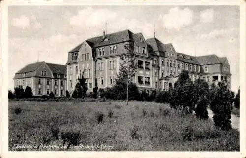 Ak Gryfów Śląski Greiffenberg Schlesien, Sanatorium Birkenhof