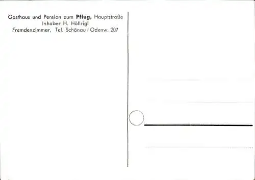 Ak Altneudorf Schönau im Odenwald, Gasthaus-Pension zum Pflug