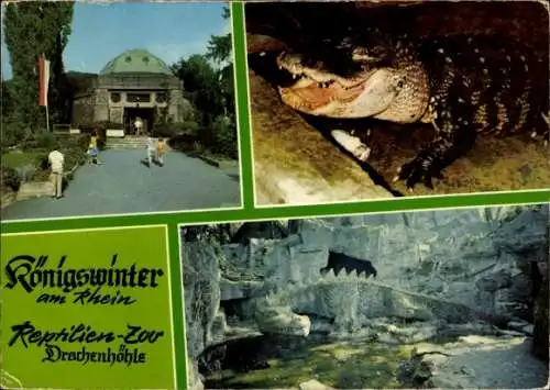 Ak Königswinter am Rhein, Reptilien-Zoo Drachenhöhle