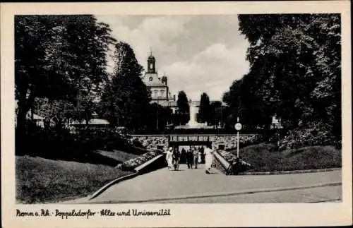 Ak Bonn am Rhein, Poppelsdorfer Allee, Universität