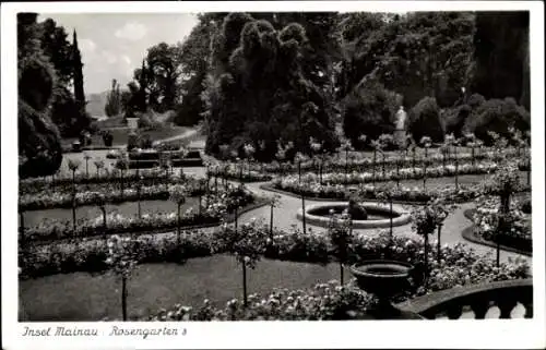 Ak Insel Mainau im Bodensee, Rosengarten