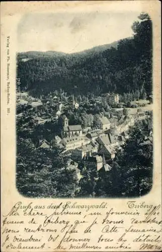 Ak Triberg im Schwarzwald, Totalansicht