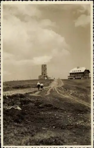 Ak Feldberg im Schwarzwald, Feldbergturm und Feldberggasthaus