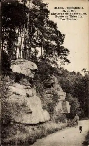 Ak Bréménil Meurthe et Moselle, Route de Thiaville, Les Roches