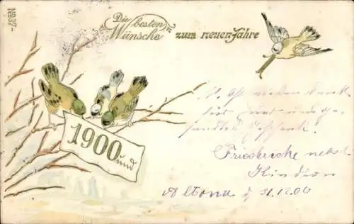 Präge Ak Glückwunsch Neujahr 1900, Vögel am Baum