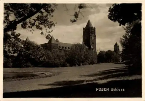 Ak Poznań Posen, Schloss