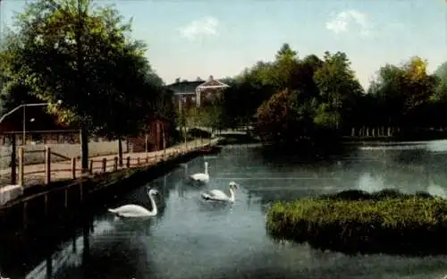 Ak Helmstorf bei Lütjenburg in Holstein, Teilansicht, Schwäne