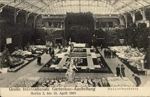 Ak Berlin Mitte, Große Internationale Gartenbau-Ausstellung 2.-13. April 1909, Hyacinthenbeete