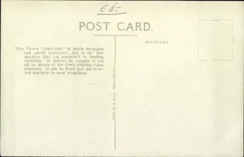 Ak Hubschrauber Auto-Giro