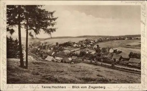 Ak Tanne Oberharz am Brocken, Blick vom Ziegenberg