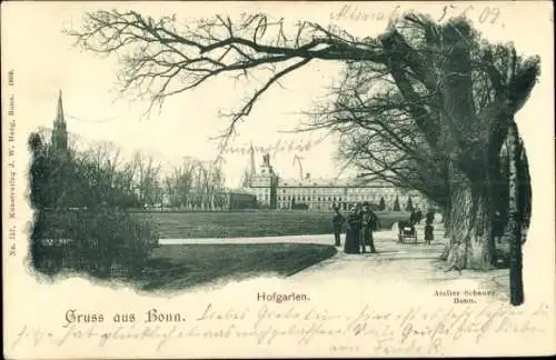 Ak Bonn am Rhein, Hofgarten