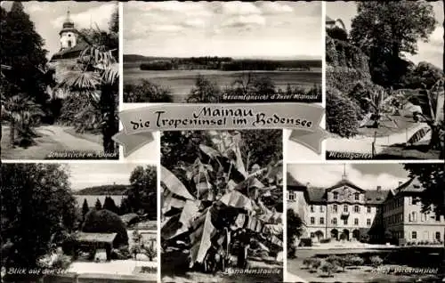 Ak Insel Mainau im Bodensee, Panorama, Schlosskirche, Bananenstaude, Schloss Vorderansicht