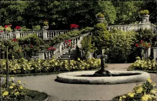 Ak Insel Mainau im Bodensee, Rosengarten