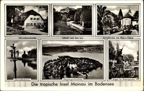 Ak Insel Mainau im Bodensee, Flugzeugaufnahme, Schwedenkreuz, Engel im Rosengarten, Schloss