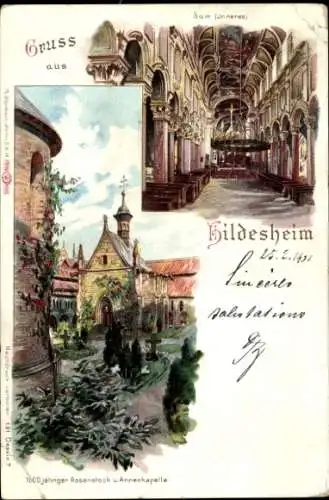 Litho Hildesheim in Niedersachsen, Dom Innenansicht, Annenkapelle, Rosenstock