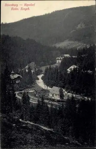 Ak Kipsdorf Altenberg im Erzgebirge, Bärenburg, Panorama