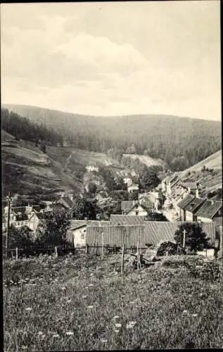 Ak Wildemann Clausthal Zellerfeld im Oberharz, Spiegelthaler Straße