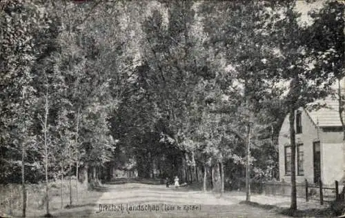 Ak Rolde Drenthe Niederlande, Laan, Allee