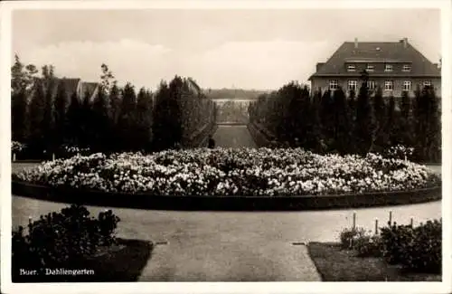 Ak Buer in Westfalen Gelsenkirchen Ruhrgebiet, Dahliengarten