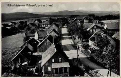 Ak Hohegeiß Braunlage im Harz, Teilansicht, Wohnhäuser