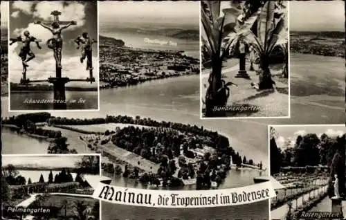 Ak Insel Mainau im Bodensee, Rosengarten, Bananengarten, Schwedenkreuz im See, Palmengarten
