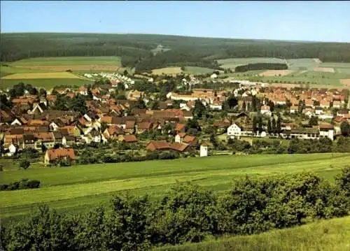 Ak Dassel am Solling, Gesamtansicht, Blick vom Bierberg