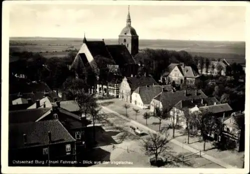 Ak Burg auf der Insel Fehmarn, Luftbild, Kirche, Fachwerkhäuser, Panorama