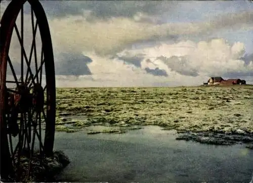 Ak Hallig Hooge in Nordfriesland, Volkertswarft