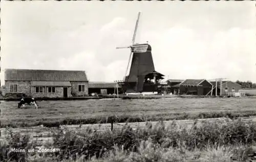 Ak Zaandam Zaanstad Nordholland, Mill