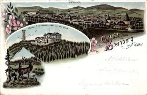 Litho Steinberg Goslar am Harz, Panorama, Hotel Steinberg, Hirsch