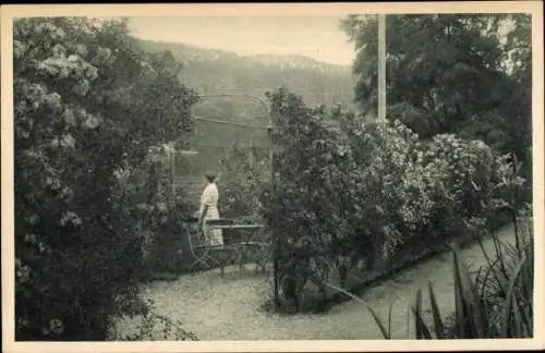 Ganzsachen Ak Trier an der Mosel, Rudergesellschaft e. V., Bootshaus Zurmayen, Rosenlaube