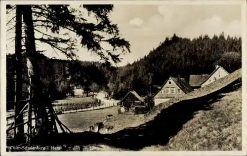 Ak Schulenberg Clausthal Zellerfeld im Oberharz, Teilansicht