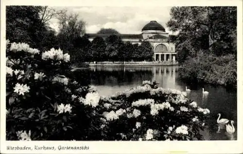 Ak Wiesbaden in Hessen, Kurhaus, Gartenansicht, Schwäne