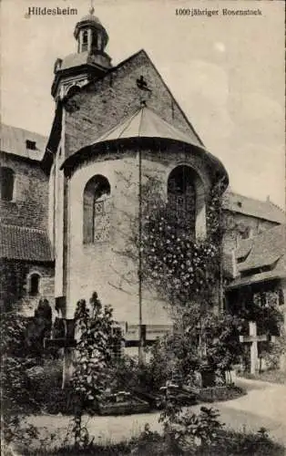 Ak Hildesheim in Niedersachsen, Kirche, Teilansicht, 1000 jähriger Rosenstock