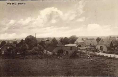 Ak Tensfeld in Schleswig Holstein, Panorama vom Ort