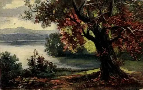 Künstler Ak Fuhrmann, Herbst, Baum mit braunen Blättern